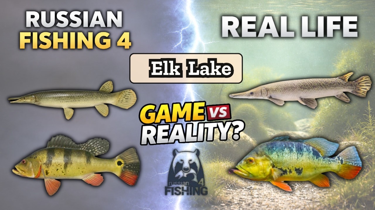 🎣Elk lake fishes in real life🔴 | rf4 vs real life | Russian fishing 4 | Nanstein | #rf4