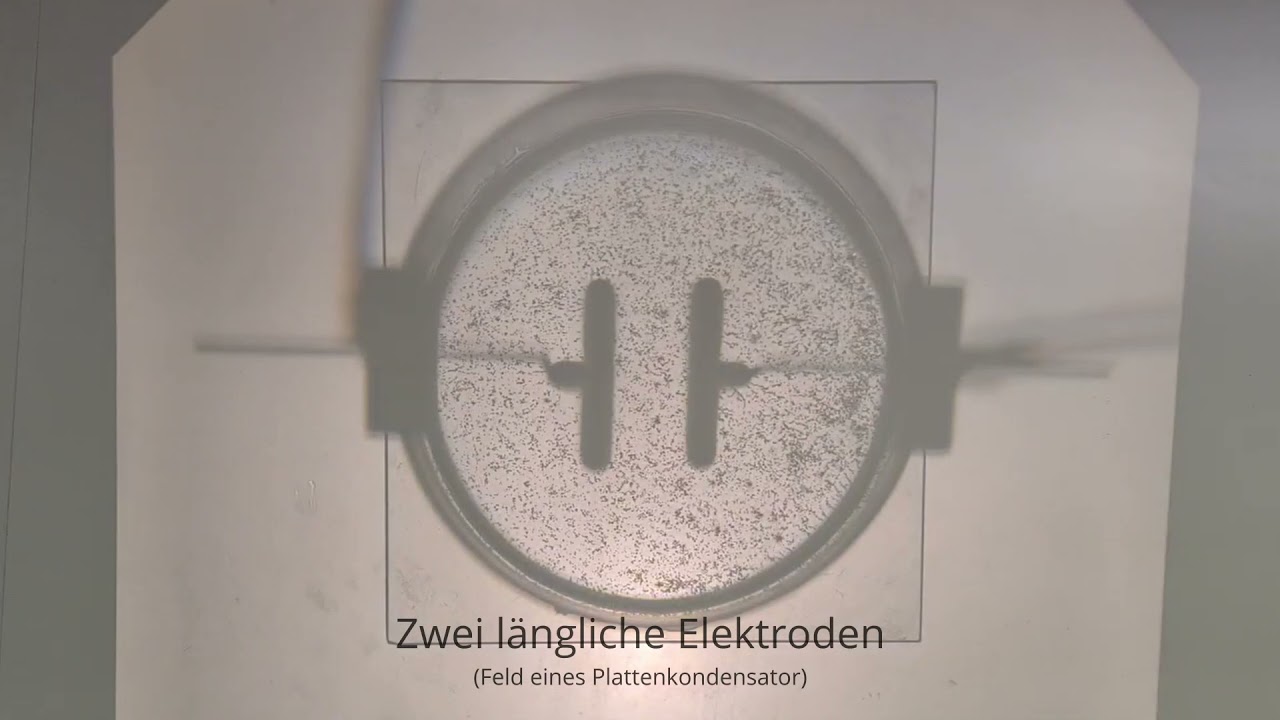 Elektrisches Feld - elektrische Feldlinienbilder mit Grie&szlig;k&ouml;rnern in Rizinus&ouml;l untersuchen