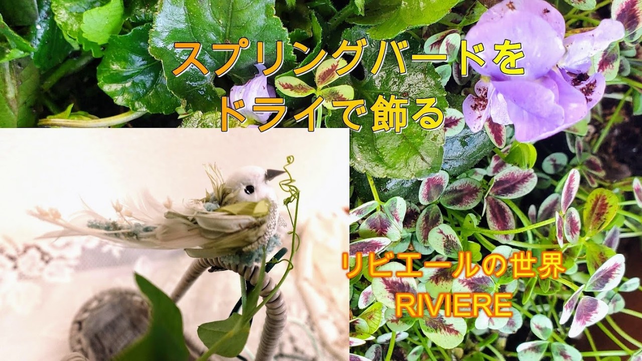 スプリングバードをドライで装飾