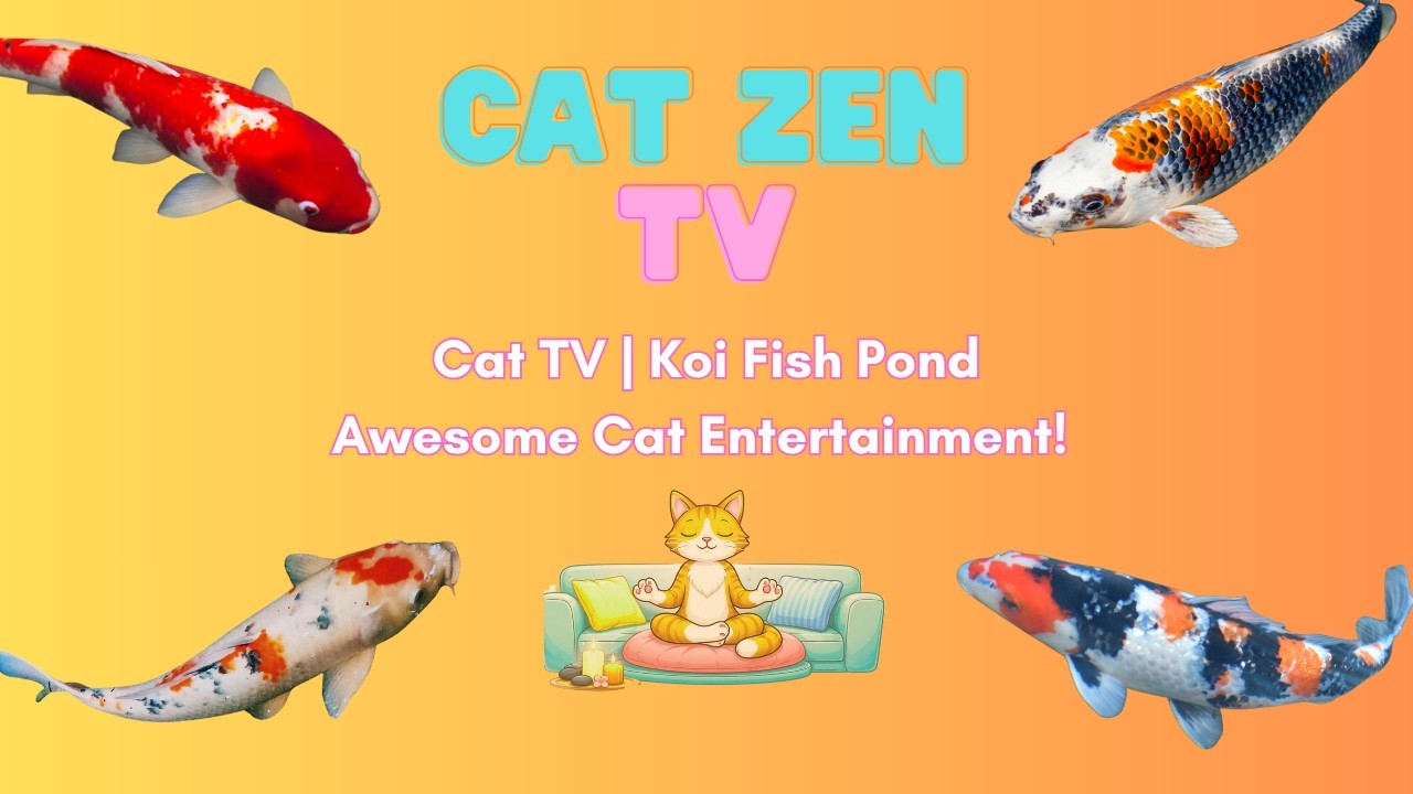 Cat TV 🐟 Koi Fish Swimming for Cats (1 Hour) | Entertaining Video for Cats