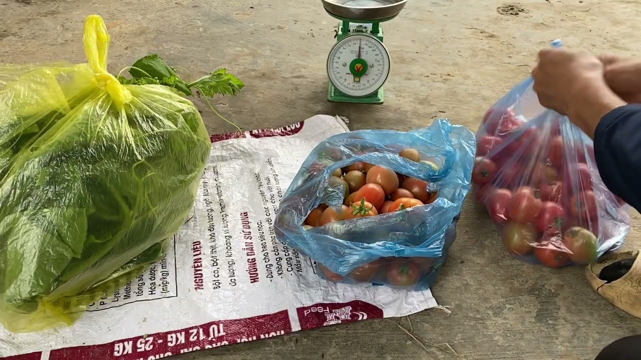 Bán ế ngọn bí, cà chua 7kg  =  60.000đ