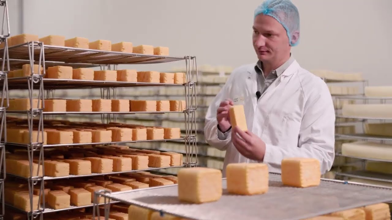 Visite de la fromagerie Terre de fromages