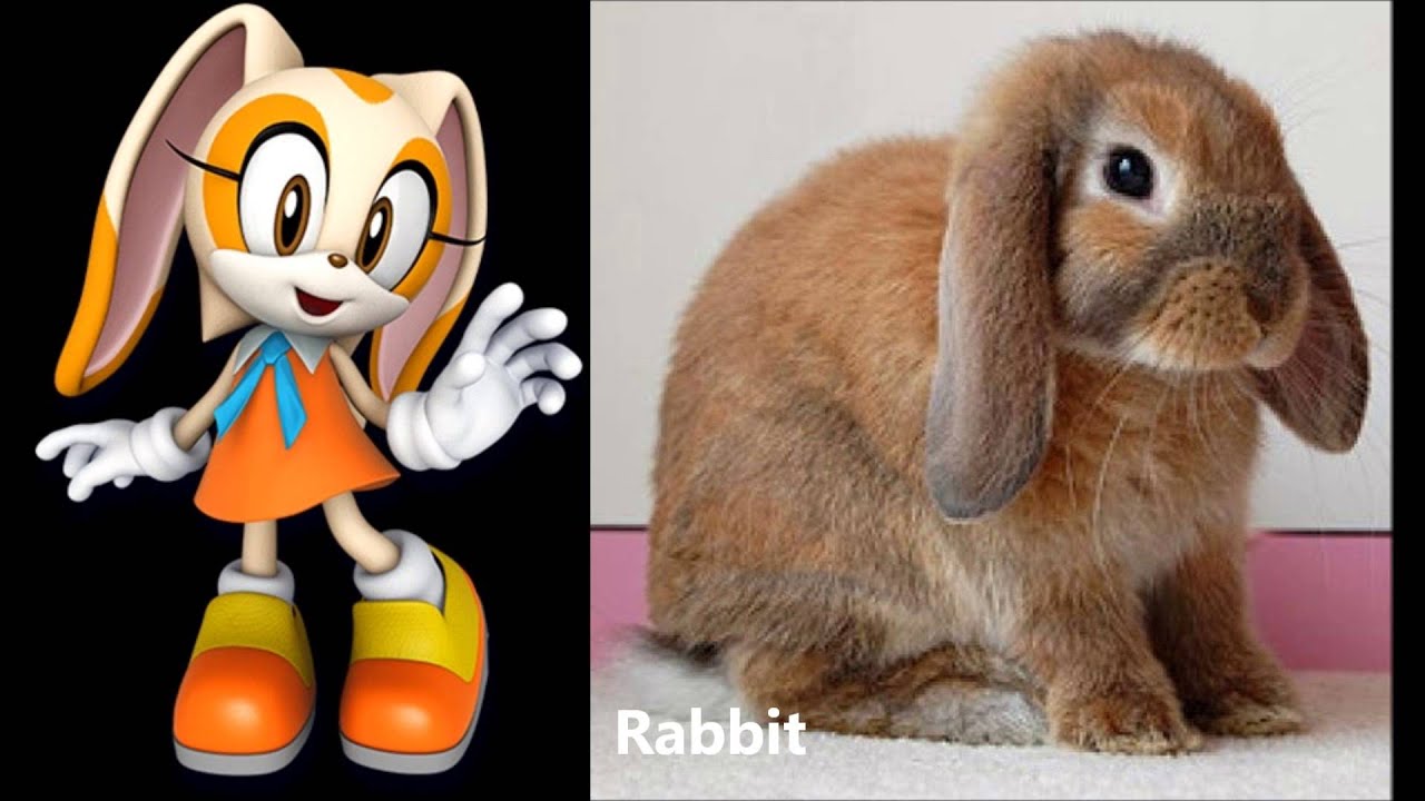 The Sonic Characters Real Life Comparisons