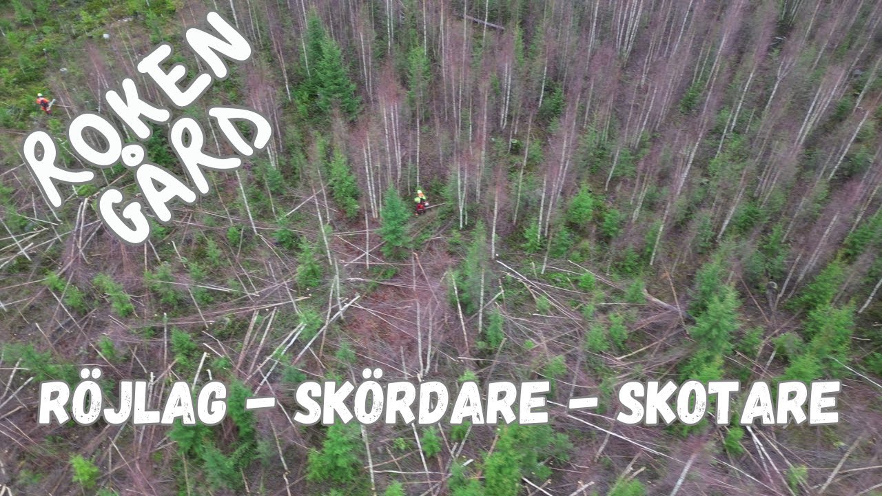 Roken Gård - Röjlag, skördare & Skotare