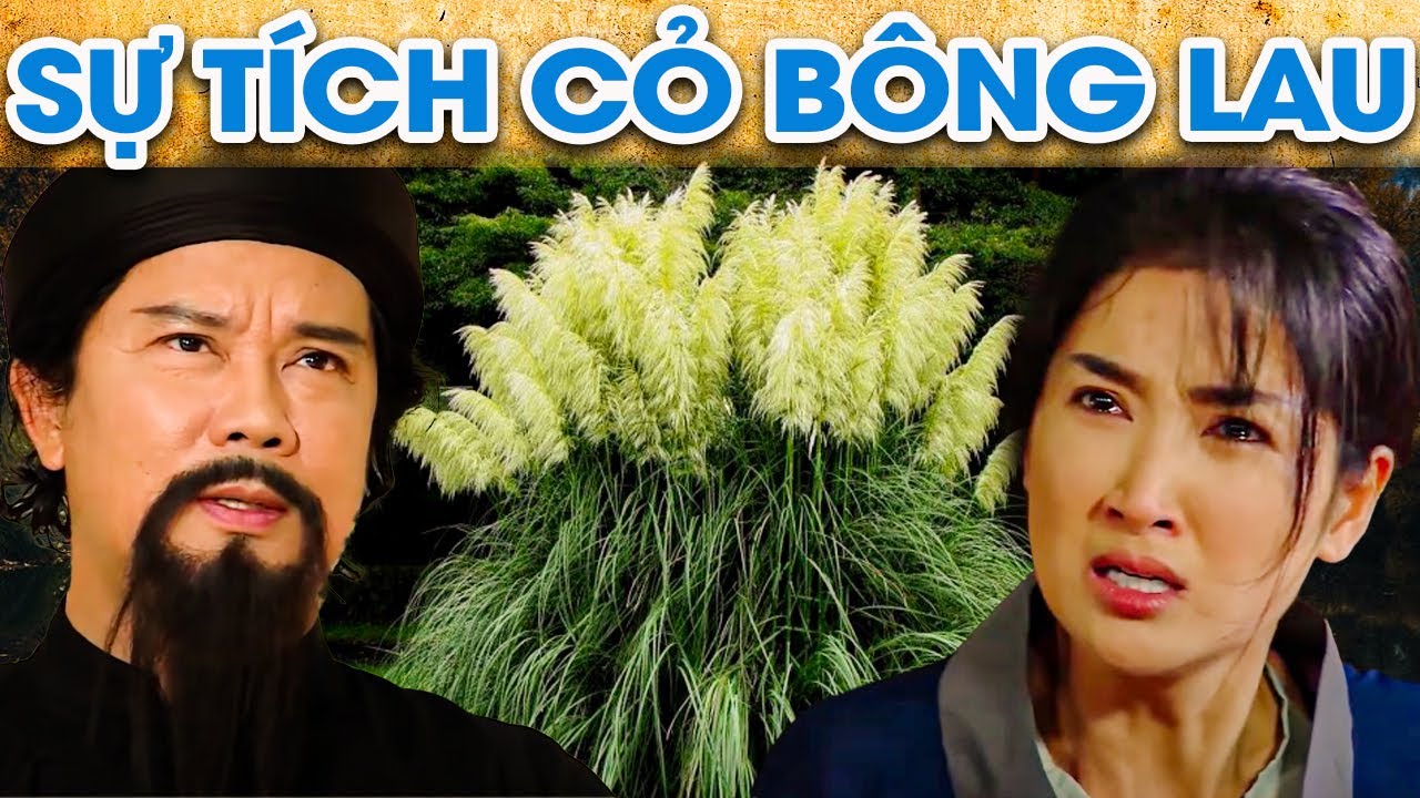 SỰ TÍCH CỎ BÔNG LAU | SỰ TÍCH VIỆT NAM MỚI NHẤT 2022 | PHIM SỰ TÍCH HAY Ý NGHĨA 2022 | GHIỀN CỔ TÍCH