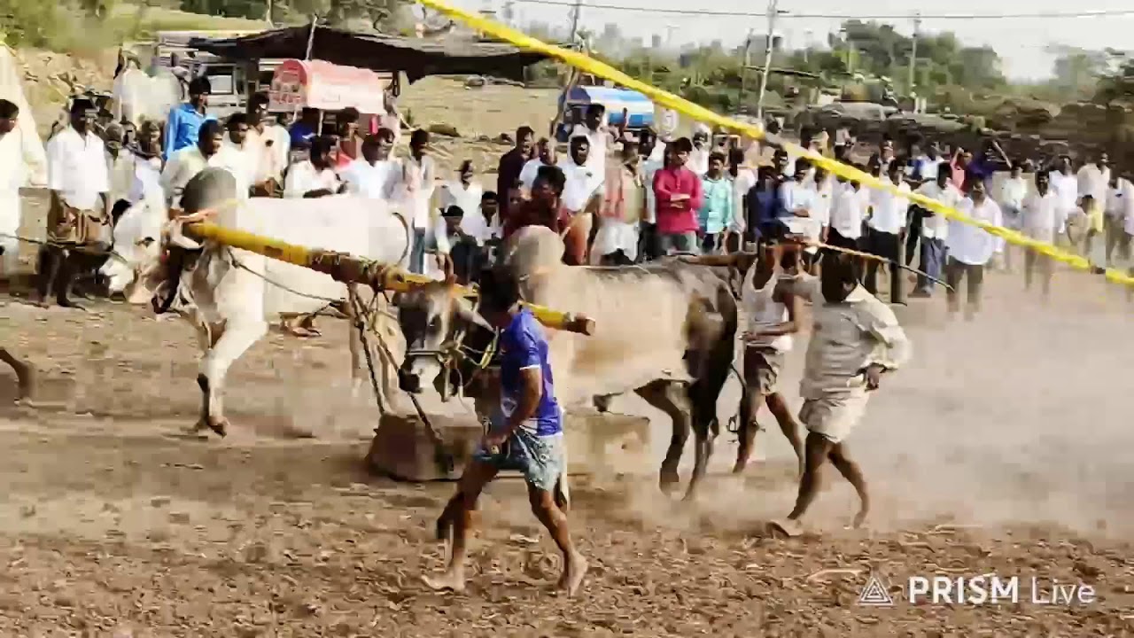 రహమాన్ పురం 6 పళ్లు 11 జత సివ కోటి