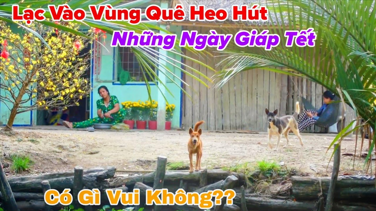 Lạc Vào Vùng Quê Sâu Heo Hút Những Ngày Giáp Tết Có Gì Vui Không?