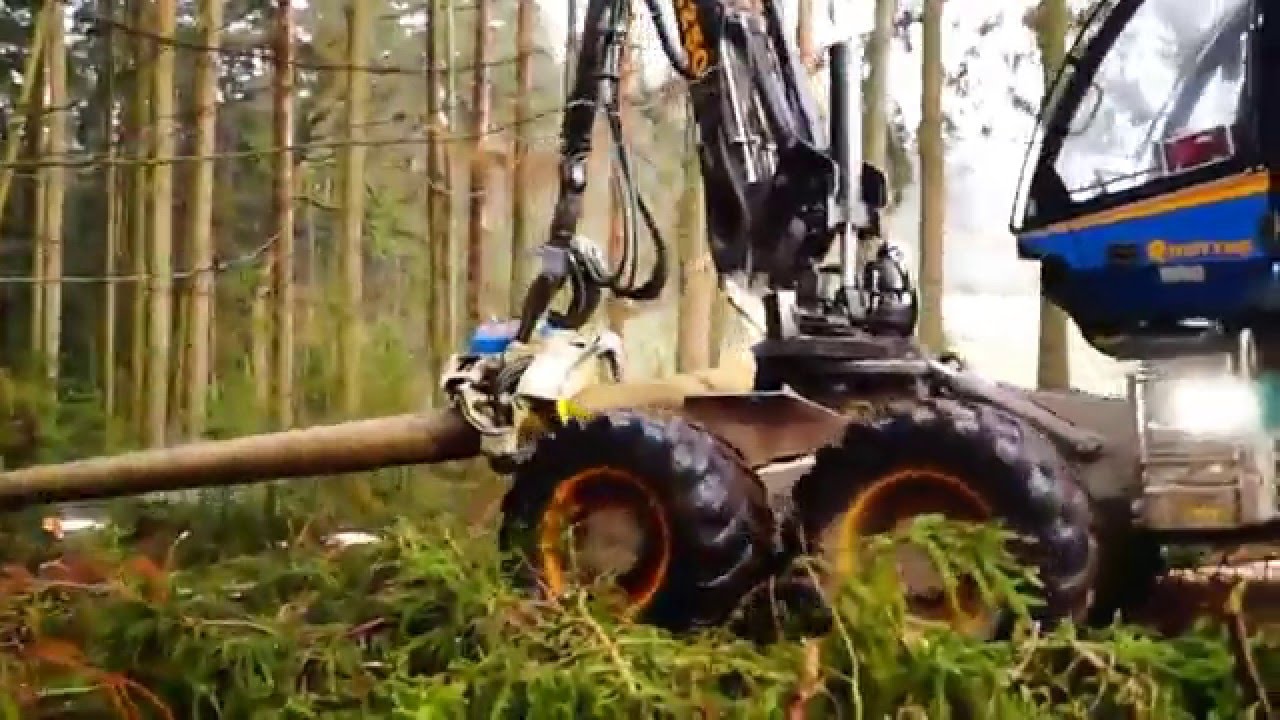 Forstbetrieb Weismann - Rottne H21 D im Einsatz