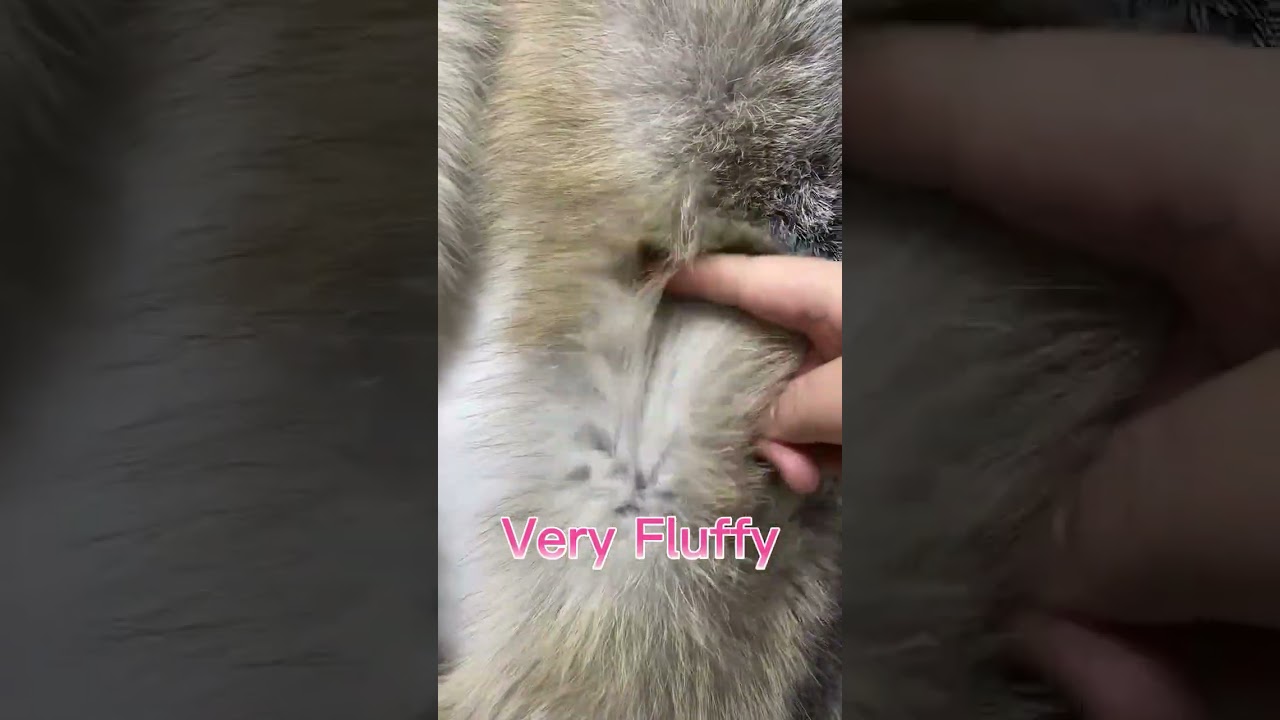 MWFur Fox Fur Scarf Luxury Big Fox Skin Scarf Natural Fox Fur Stole Genuine Fox Fur Shawl Pocket Fas