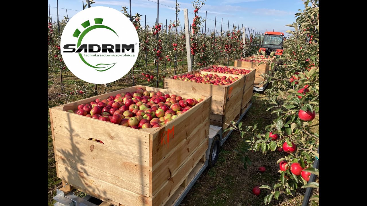 Wózek sadowniczy WR33 oraz WR34  - producent:  Sadrim ( wózki sadownicze, pługi śnieżne i inne  )