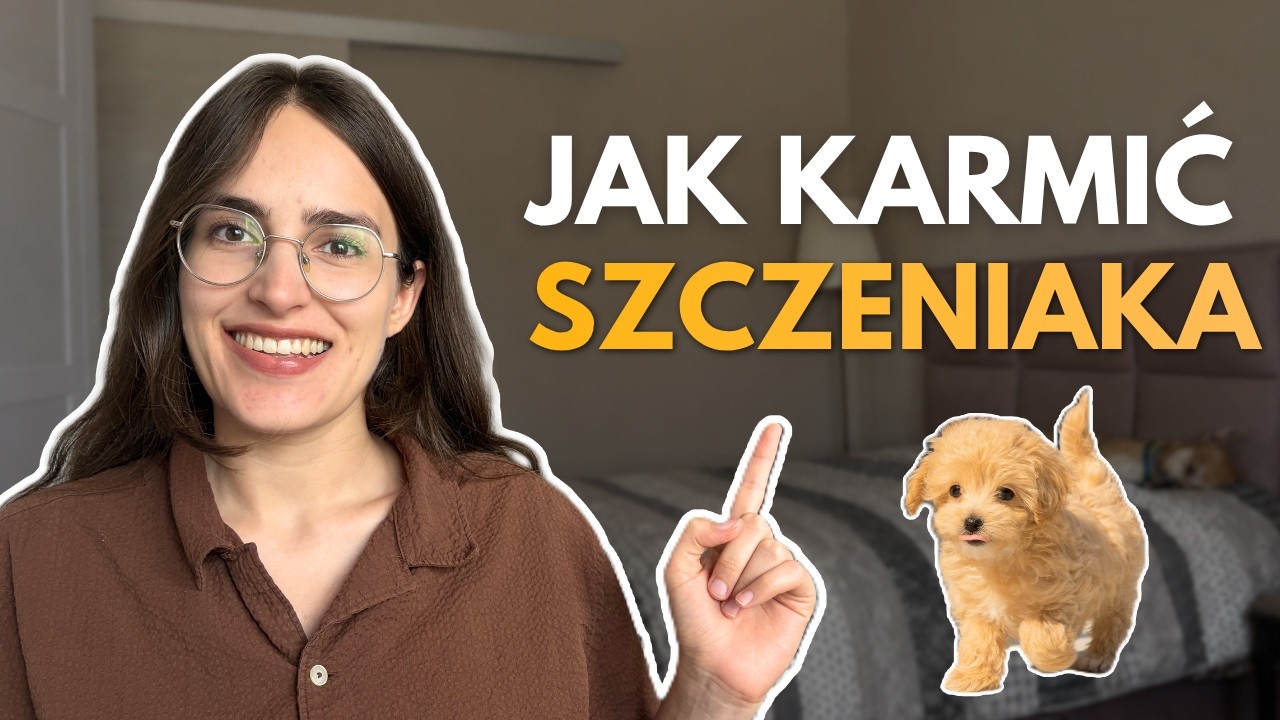 Jak karmić szczeniaka - wszystko co musisz wiedzieć #psidietetyk #szczeniak #żywienieszczeniaka
