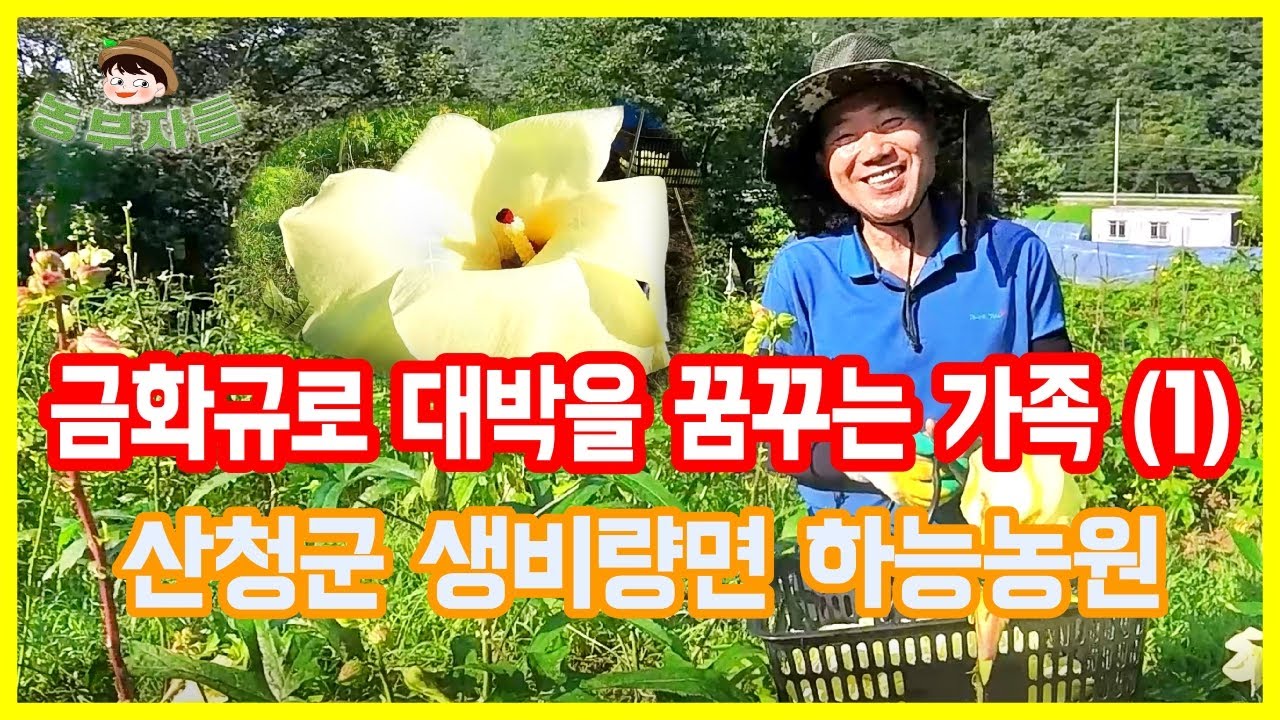 효능 좋은 금화규로 귀농한 가족을 만났습니다. 대박을 꿈꾸는 산청군 하능농원 농부들