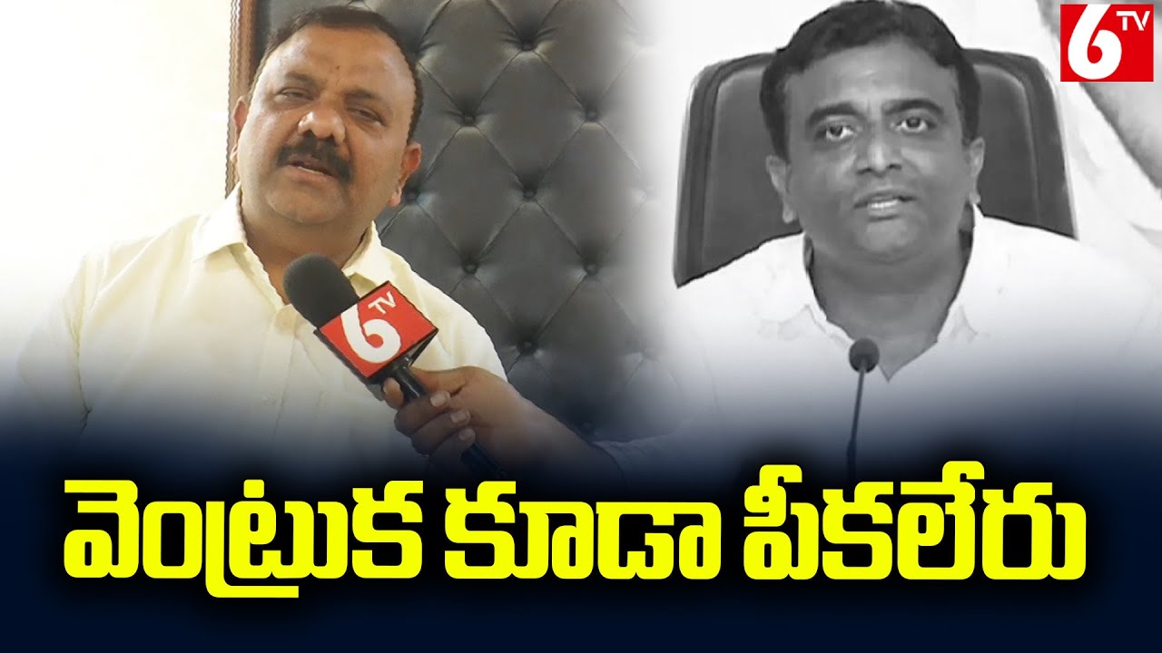 వెంట్రుక కూడా పీకలేరు.. | TDP MLA Yarapathineni Srinivasa Rao Fires on YCP Kasu Mahesh | 6TV