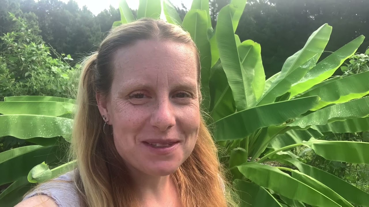 This Canadian in the south is EXCITED about growing this!