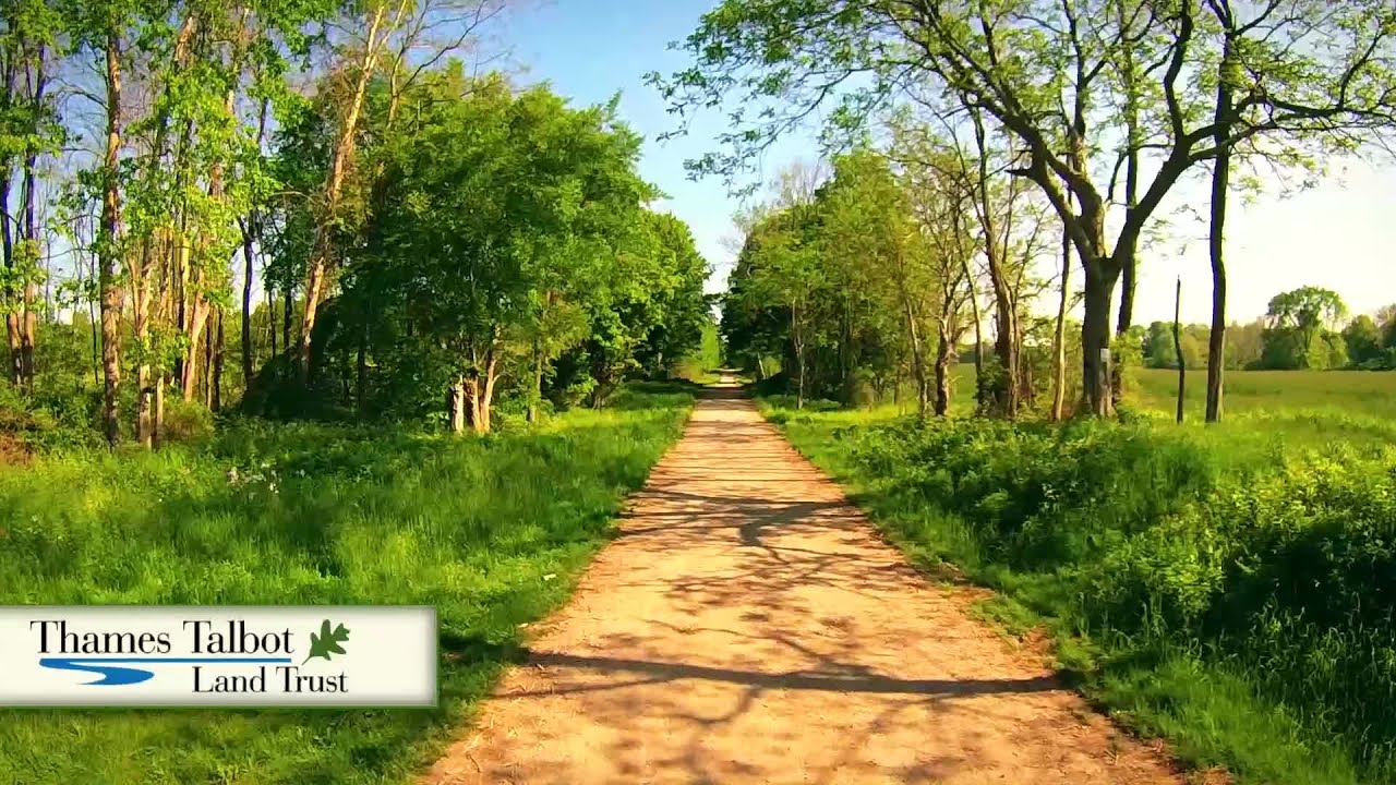 Hawk Cliff - Rogers tv's Canada Showcase | Rogers tv