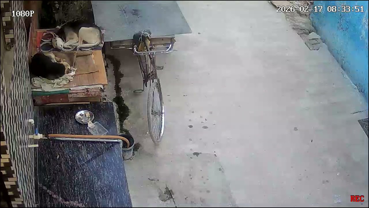Kaluuuuu