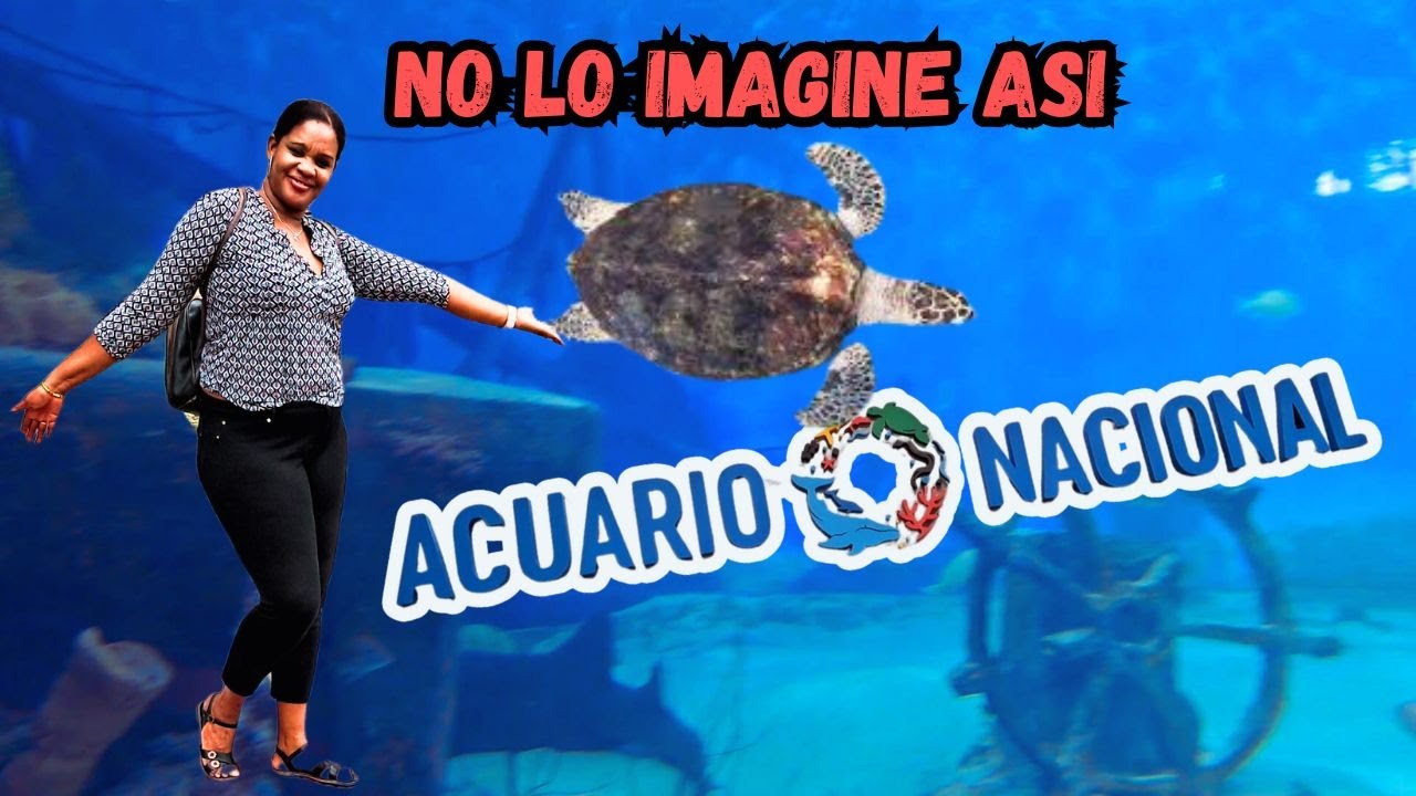 Este Lugar Superó Mis Espectativas. Cubana Visita Acuario en Santo Domingo