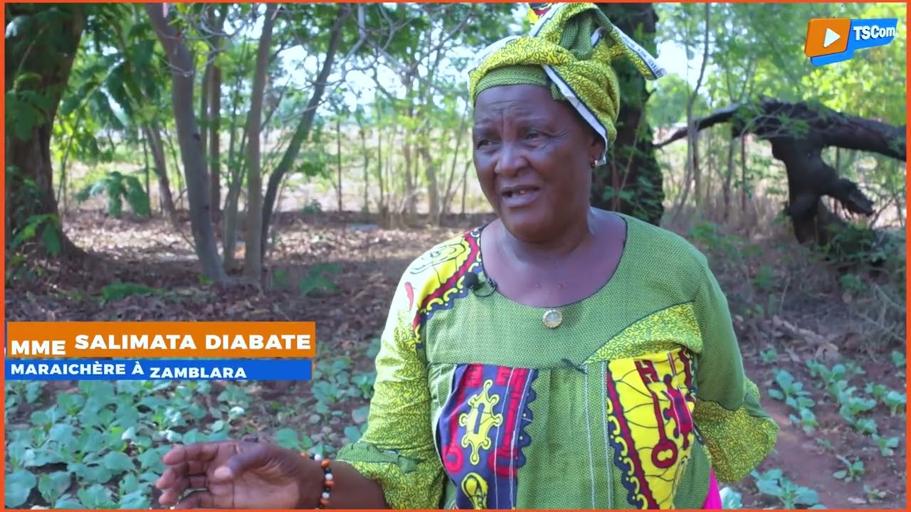 L'accès à la terre des femmes de Zamblara - Sikasso