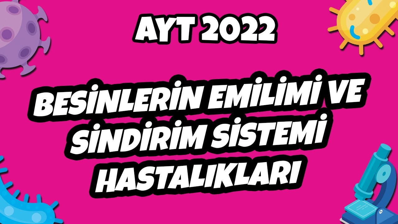 Besinlerin Emilimi ve Sindirim Sistemi Hastalıkları | AYT Biyoloji 2022 #hedefekoş