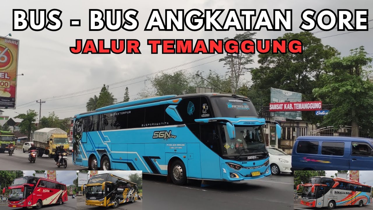 HUNTING BUS - BUS penguasa jalur temanggung saat angkatan sore