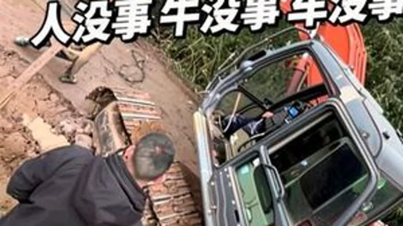 今天这个6米8驾驶员不幸中的万幸，因为开车疏忽大意，差点出事 索性经过多方努力救援，人没事  牛没事 车也没事，再次提醒广各位司机朋友开车一定要认真 慢一点儿 把细点 对自己负责也对别人负责#为...