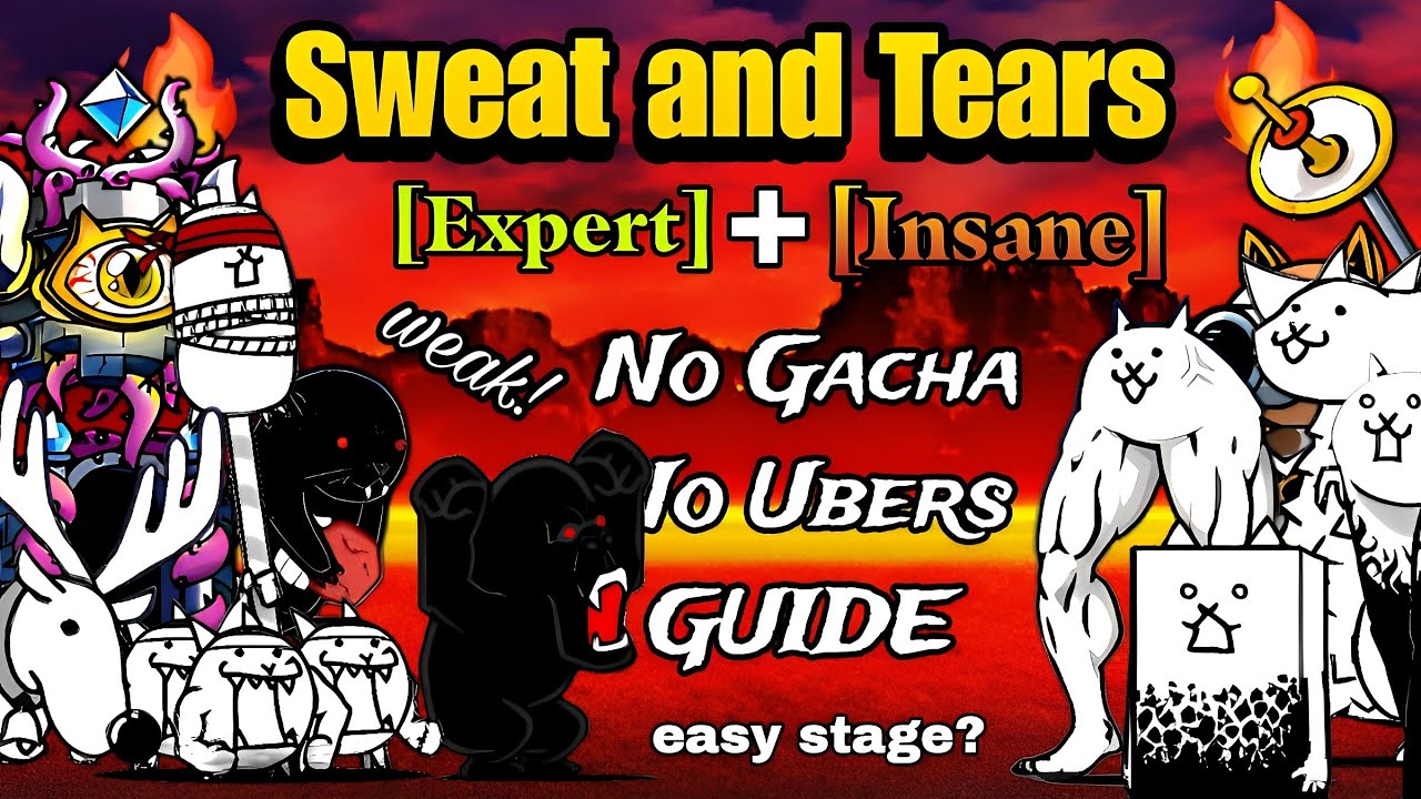 How to Easily Beat Sports Day Awakens! | No Gacha (Battle Cats)