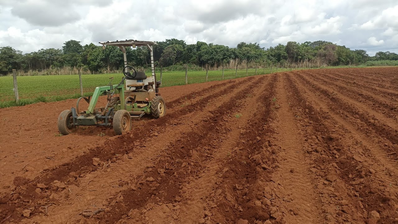 plantio de mandioca, sulco aberto com trator caseiro