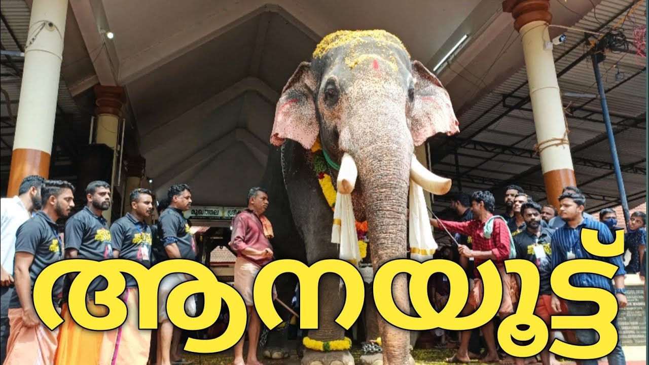 MUKHATHALA SREEKRISHNA SWAMI TEMPLE ANAYOOTTU (22/05/2022) | ആനയൂട്ട് മുഖത്തല ശ്രീകൃഷ്ണ ക്ഷേത്രം