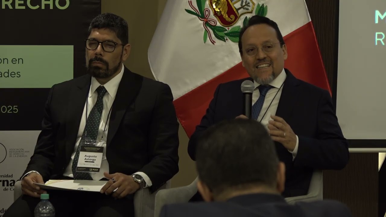 Congreso ASIDE 2025 / Lima, Perú - Panel 7