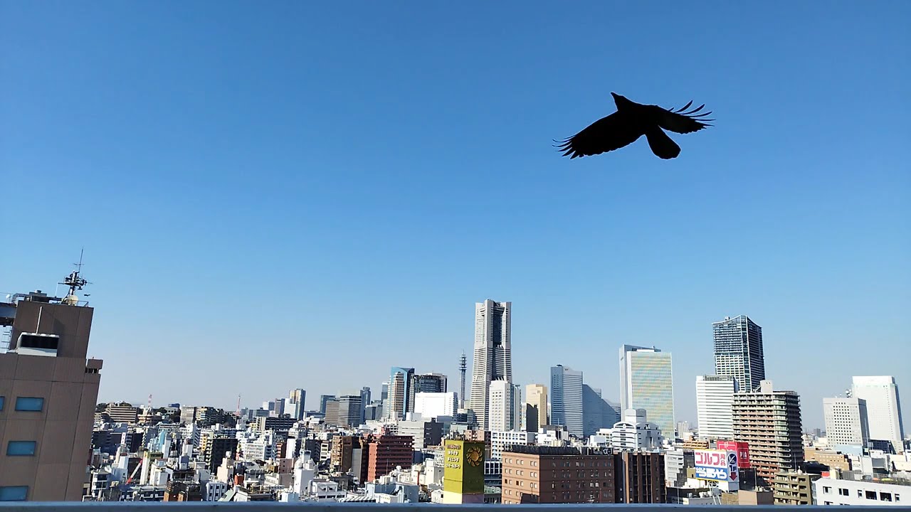 【タイムラプス】影以外に変化するものがほとんどない日、ランドマークタワーの遠景 2025年2月下旬(8)