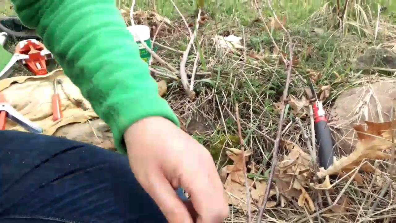 Altoirea în despicãturã partea I - a