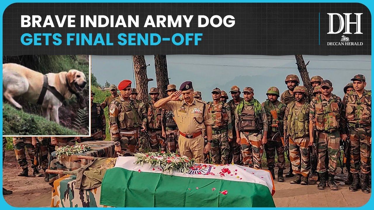 Indian army pays final respects to Kent | Army dog Kent dead
