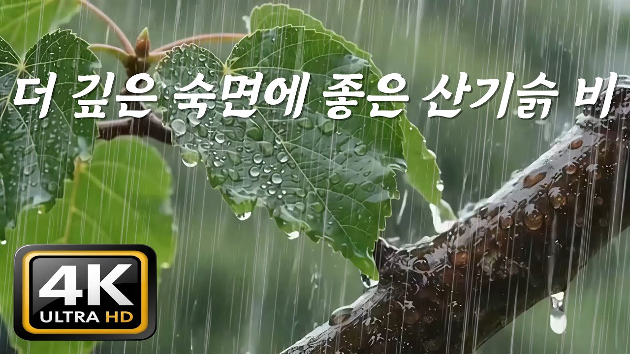 더 깊은 숙면에 좋은 산기슭 빗소리, [중간광고없음]10분후 검은화면, 불면증 완화·편안한 밤을 위한 자연의 자장가, ASMR