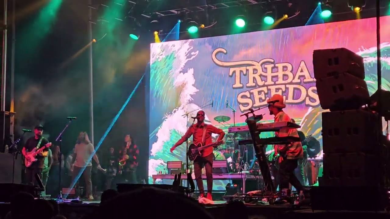 Tribal Seeds- 