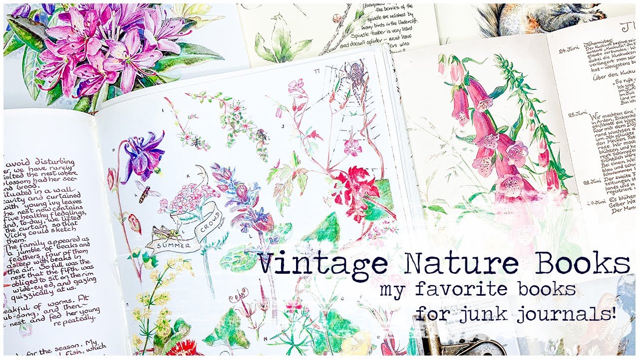 VINTAGE NATURE BOOKS Flip Through | My Favorite Book for Junk Journals | Vintage Book Haul