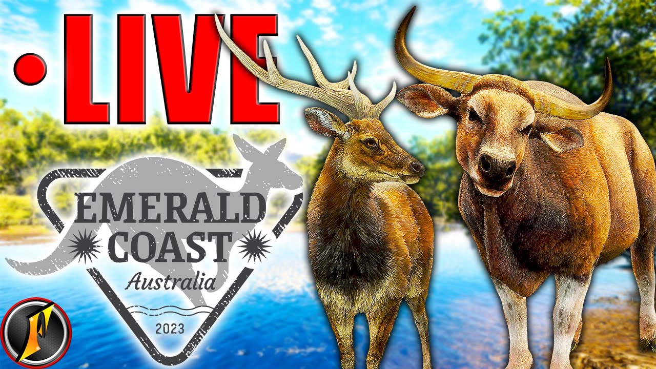 What Will Emerald Coast Have in Store for Us Today??? | LIVE!