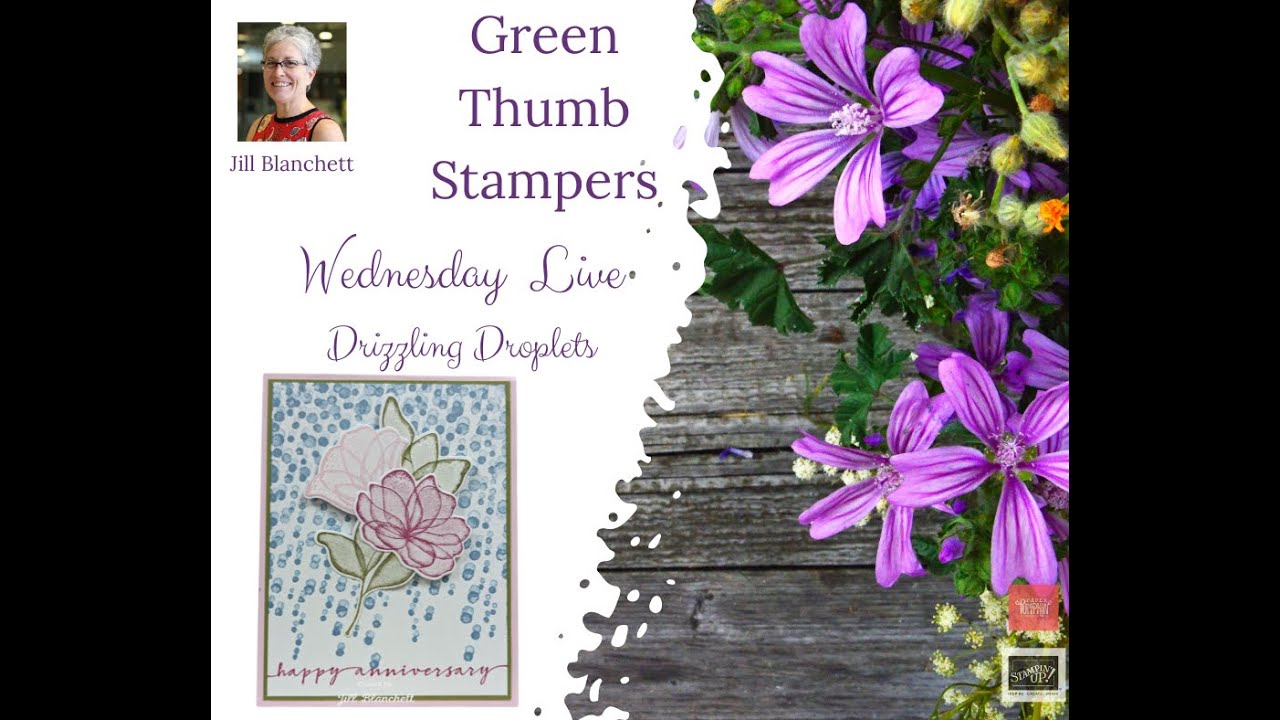 Stampin' UP! Drizzling Droplets. Sweetly Scripted & Translucent Floral