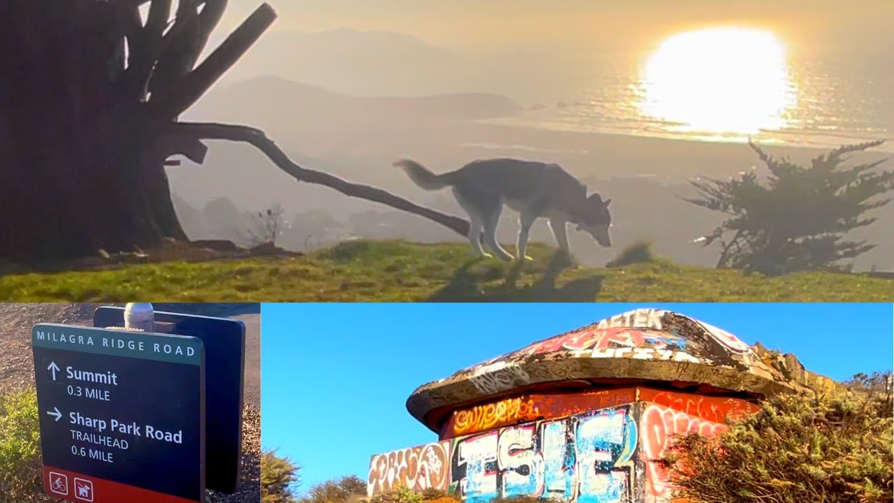 Hike with me at Milagra Ridge  Pacifica, CA