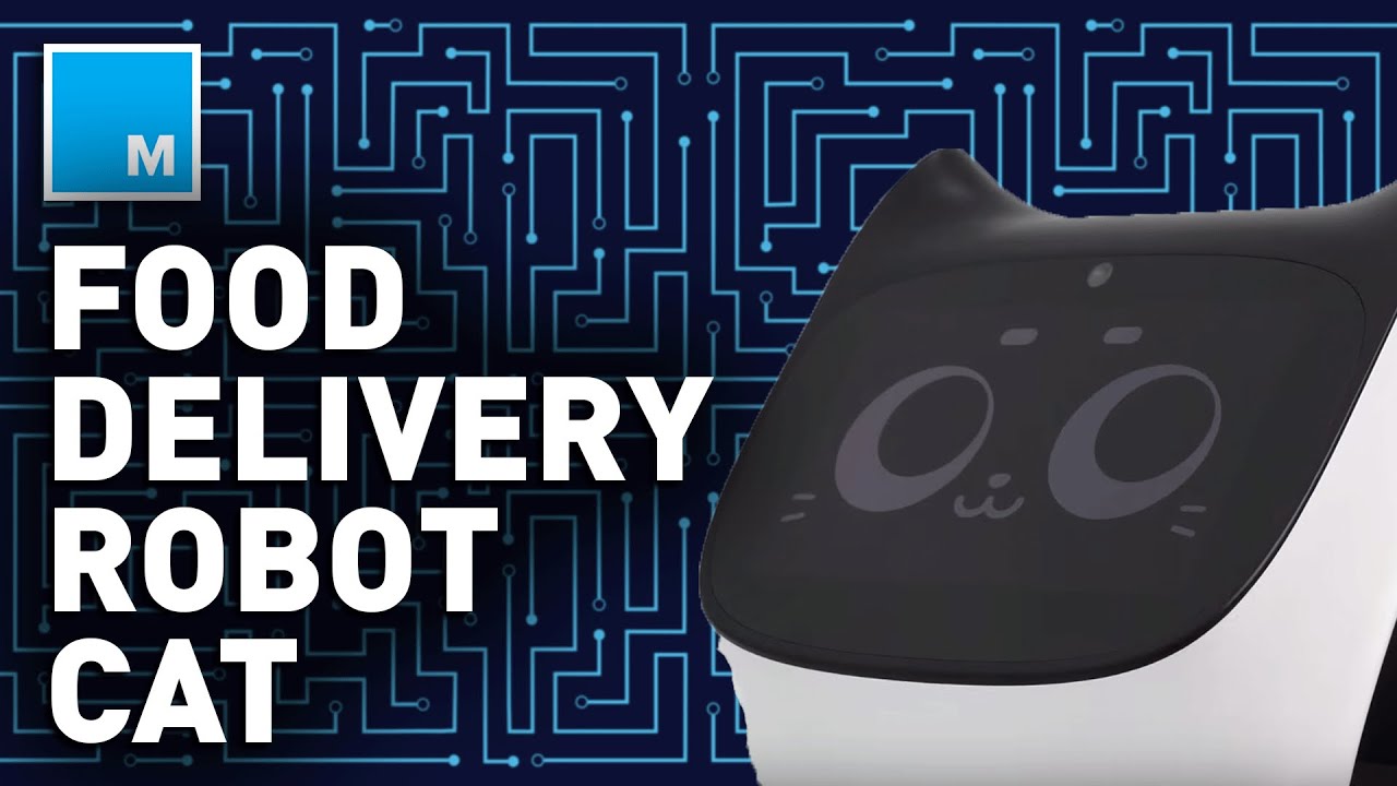 This ROBOT CAT Functions As A WAITER