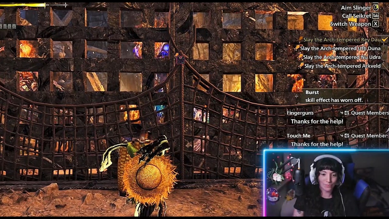 Monster Hunter shenanigans