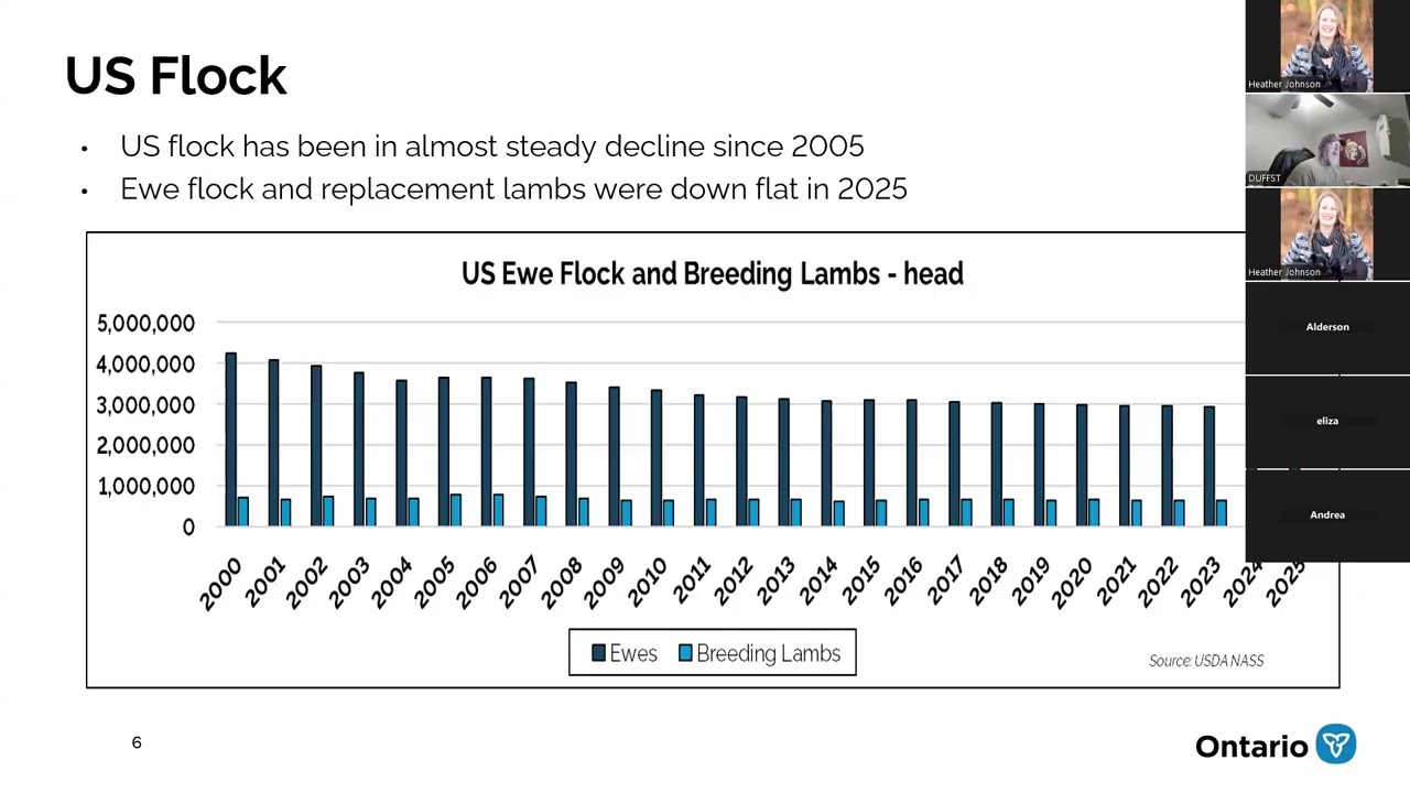 Market Outlook 2026 with Steve Duff