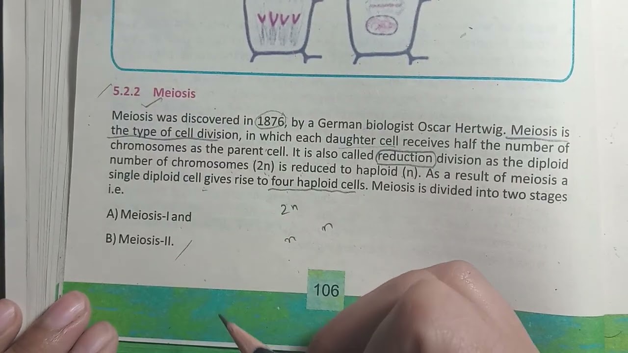 Meiosis | Cell cycle | Chapter 5 | Grade 9 Biology 