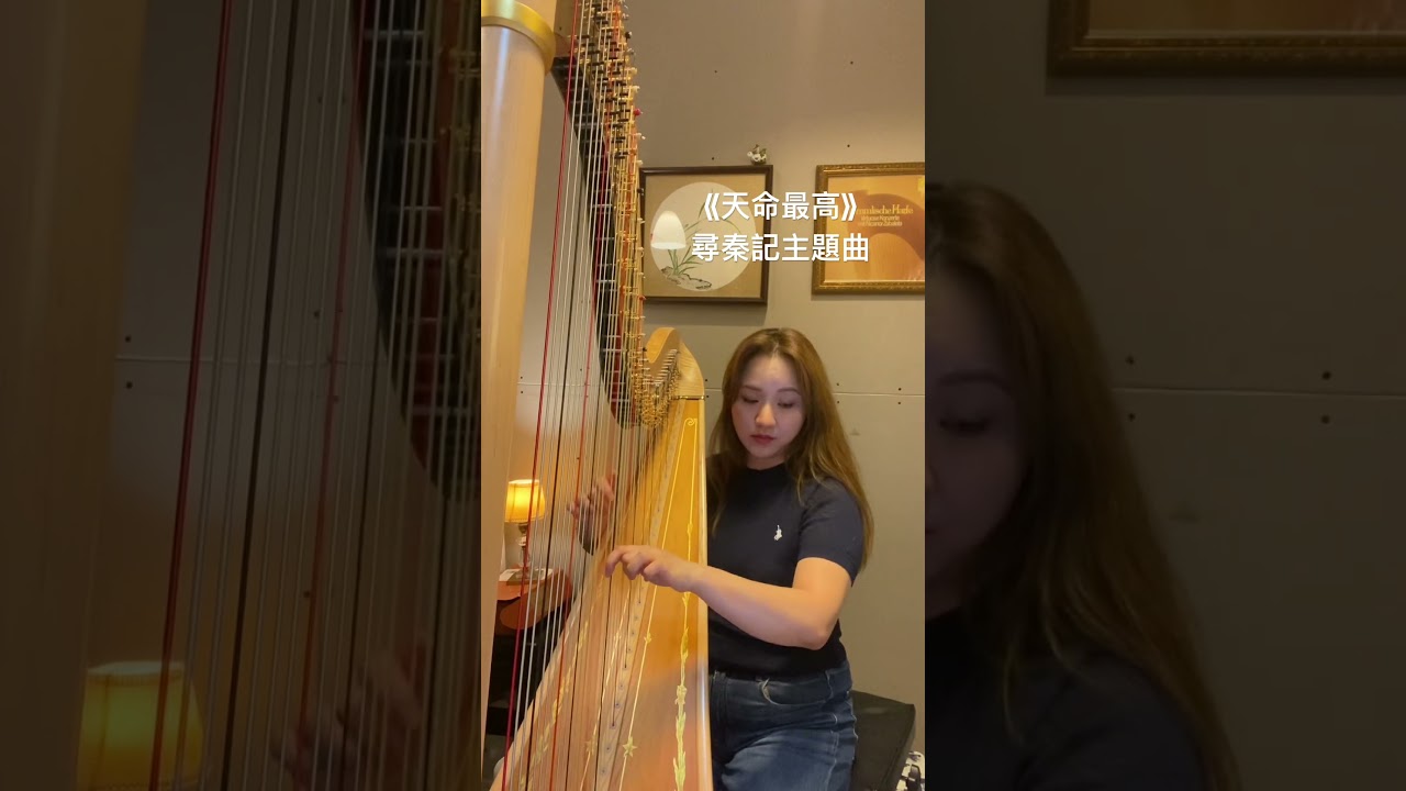 《天命最高》 尋秦記主題曲 harp cover
