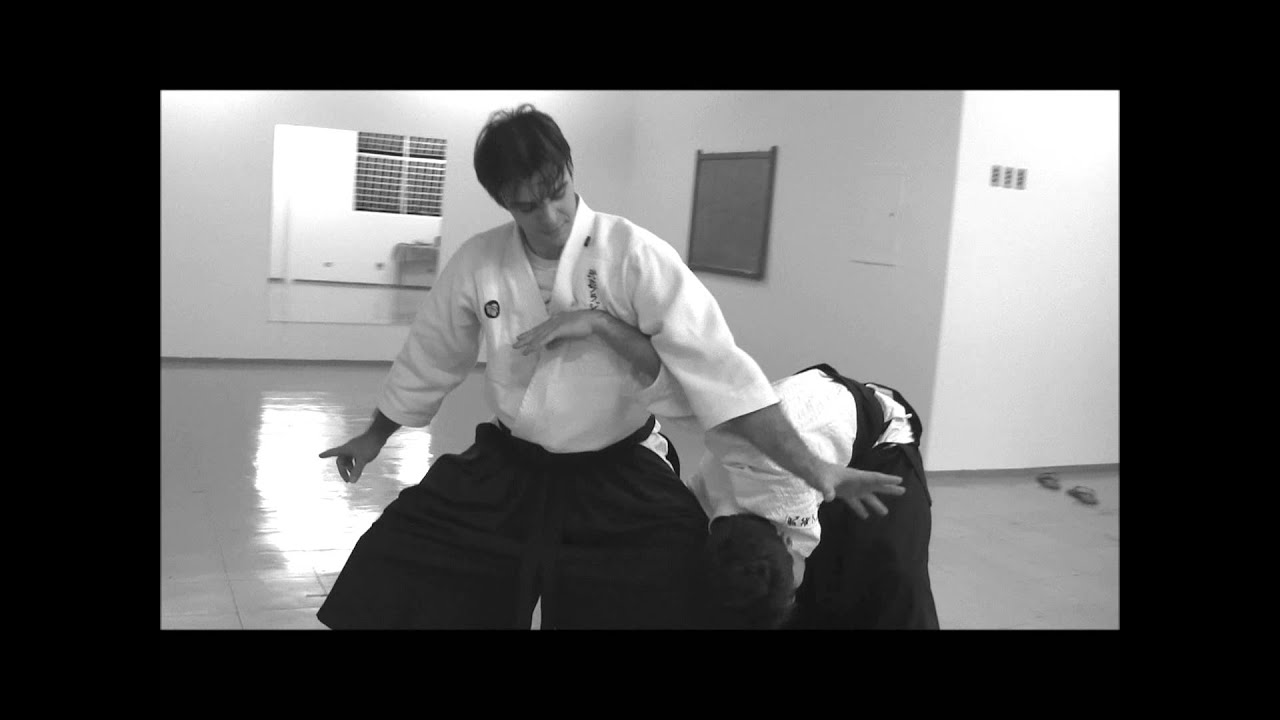 Ogawa Ryu International Bugei Society - AikiJujutsu & Koppojutsu