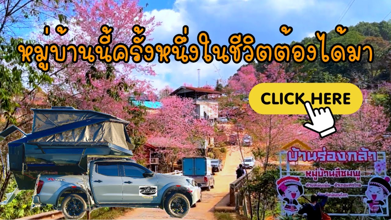 หมู่บ้านสีชมพู ดูก่อนมา  เส้นทางเป็นยังไง บ้านร่องกล้า นครไทย พิษณุโลก