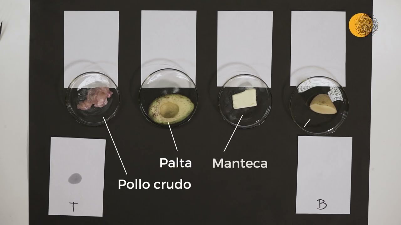 Identificación de lípidos en muestras