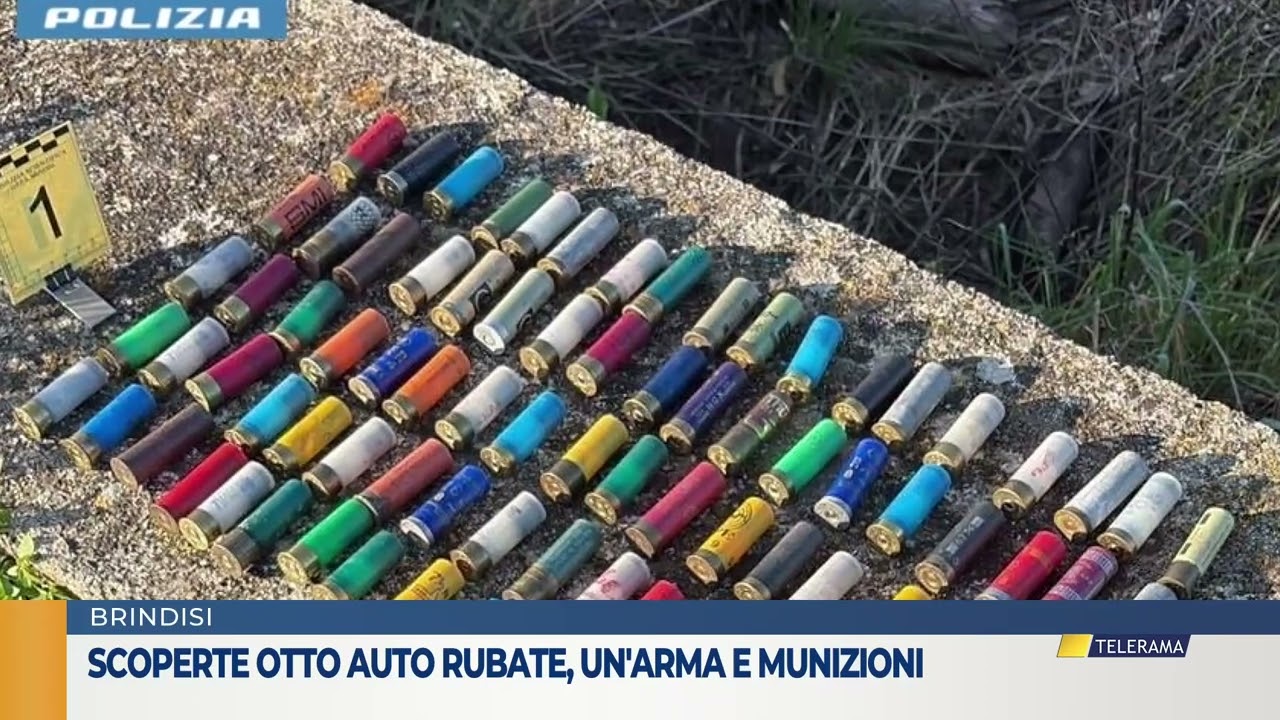 Scoperte otto auto rubate un'arma e munizioni