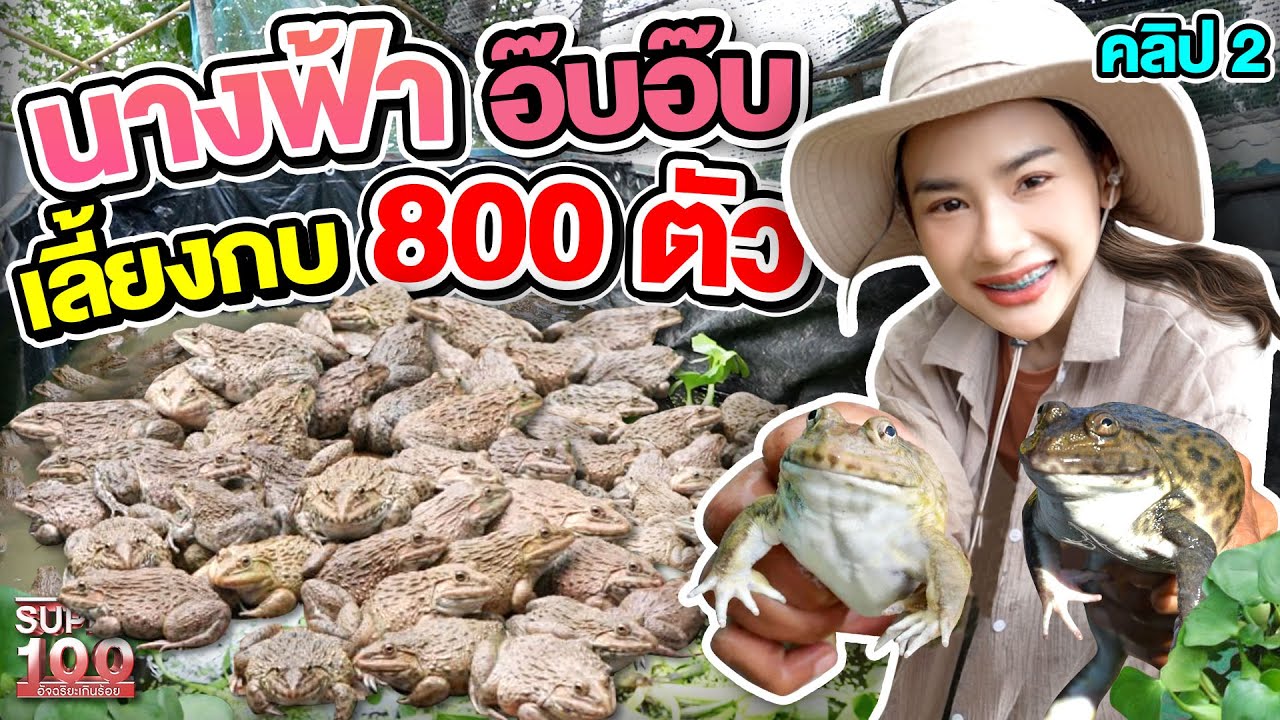 คลิป 2 | #น้องมด พาทัวร์ บ่ออ๊บอ๊บกว่า 800 ตัว | SUPER100