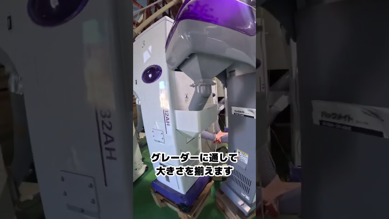 【ぶんぶん丸】籾摺りやっていくよ〜！【盈科】 #農業 #稲刈り #籾摺り
