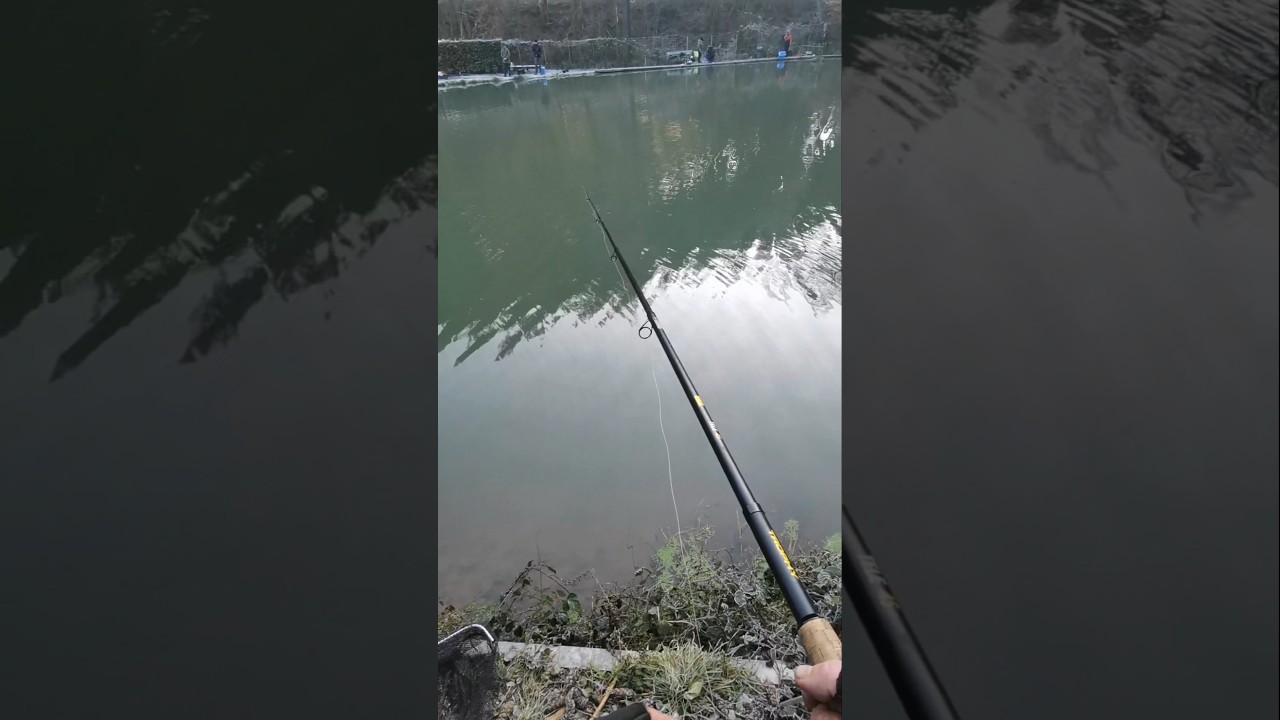 Bodenstaster l&auml;uft im Winter! #troutfishing #forellensee  #angeln #forellenangeln #trout #forelle